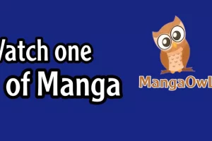 The Popularity of Manga Owl